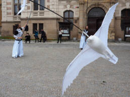 Falcons fly as part of the show